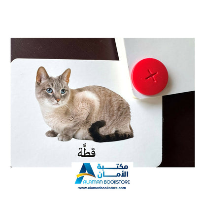 دور والعب – الكلمات – بطاقات الكلمات – الدور واللعب – الكلمات