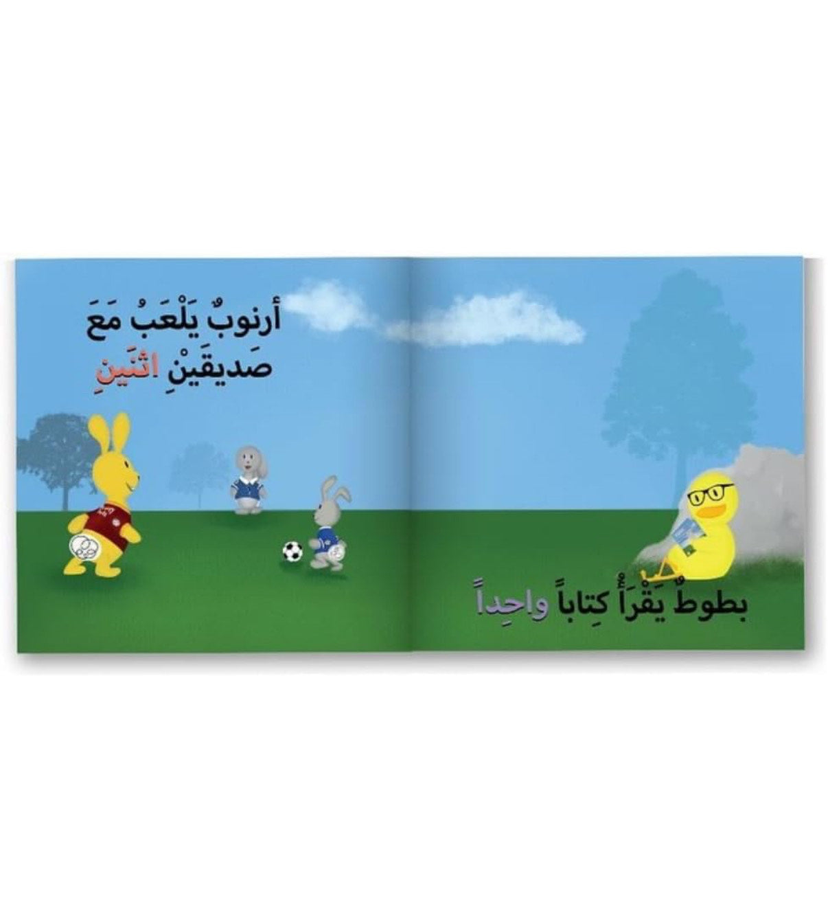The Adventures of Arnoob & Battoot: Numbers First Edition in Arabic