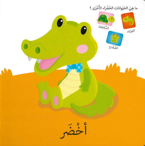 كلمات وصور – الأشكال والألوان – Words & Pictures – Shapes & Colors