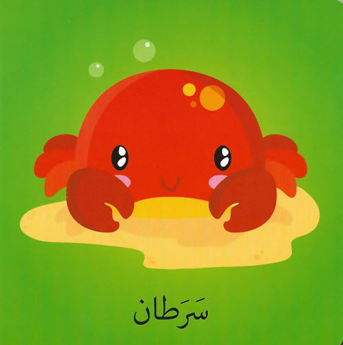 كلمات وصور – المغامرات البحرية – Words & Pictures – Sea Adventure